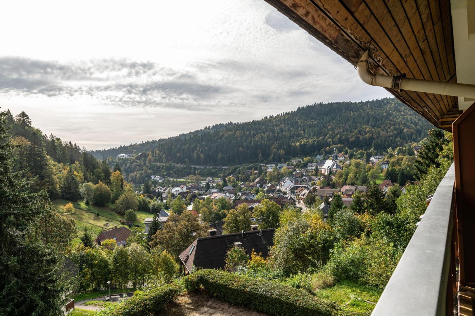 Ursel Appartement Todtmoos